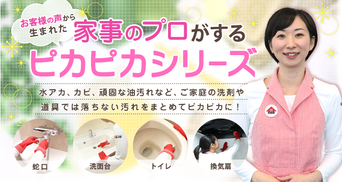 家事のプロがするピカピカシリーズ 家事のプロがするピカピカシリーズ