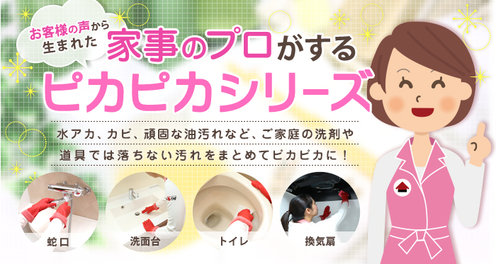 家事のプロがするピカピカシリーズ 家事のプロがするピカピカシリーズ