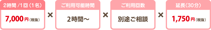 定期プラン 料金 定期プラン 料金