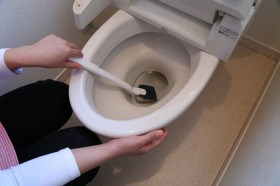 トイレのお掃除 トイレのお掃除